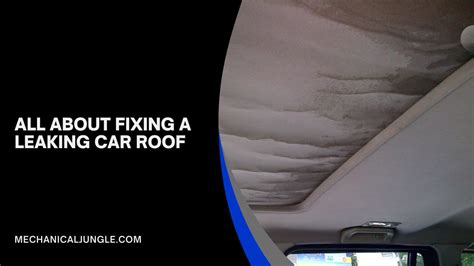 Car Roof Leak Repair: How To Locate And Fix Leaks